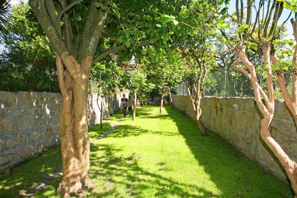 Alma Porto Hostel Buitenkant foto